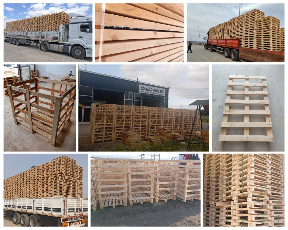 Maassluis Houten Kisten, Europallets Groothandel Kopen
